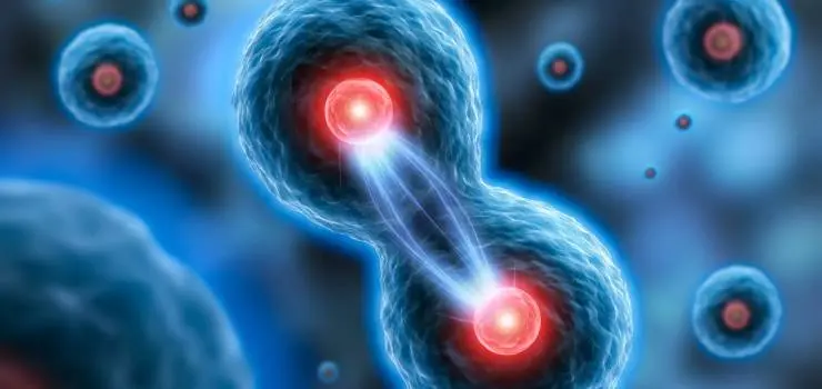 Quiz image